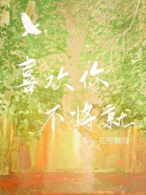 喜欢你，不将就